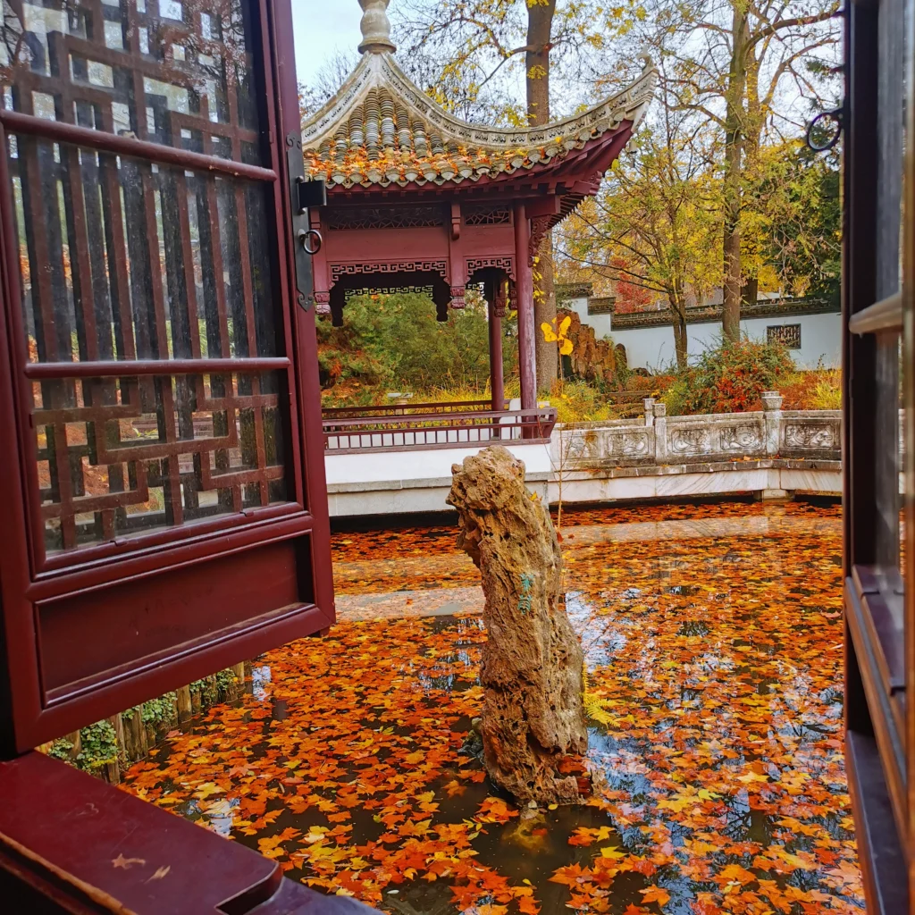 Ein traditioneller chinesischer Pavillon steht inmitten eines herbstlichen Gartens. Durch ein kunstvoll verziertes Holzfenster sieht man einen Teich, der mit leuchtend bunten Herbstblättern bedeckt ist. Ein filigraner Stein ragt aus dem Wasser, umgeben von den warmen Farben der Jahreszeit.