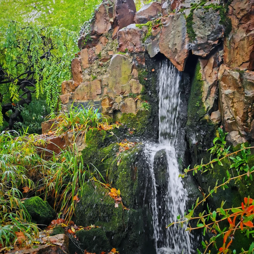 Der Wasserfall im Bethmannpark ist ein ganz besonderer Ort. Das nächste Mal will ich mich daran erinnern, dass ich ein Video mache. Seine Energie erstrahlt durch die Bewegung und das Geräusch des fallenden Wassers. Vielleicht kann ein Video das intensiver festhalten. 

Heute hat mir Chatgpt einen passenden poetischen Text herausgesucht von einer herausragenden Dichterin. 

Lied von Selma Meerbaum-Eisinger

Ich habe einen Wasserfall
gesehen, der hat mich verzaubert,
er sang ein Lied so silberhell
wie ein Märchen aus alten Tagen.

Die Tropfen tanzten auf grünes Moos,
das Glitzern flog durch die Lüfte,
und tief im Herzen wurde es groß,
ein Staunen aus stiller Inbrunst.

#wasvomTageblieb #Frankfurt #frankfurtliebe #November #Herbst #urbanlandscape #urbanlife #Bethmannpark #wasserfall #Lyrik #Poesie #Frauenlesen 

Ein kleiner Wasserfall fließt über moosbewachsene Felsen in ein ruhiges Becken. Umgeben von dichtem Grün und Herbstlaub. 

