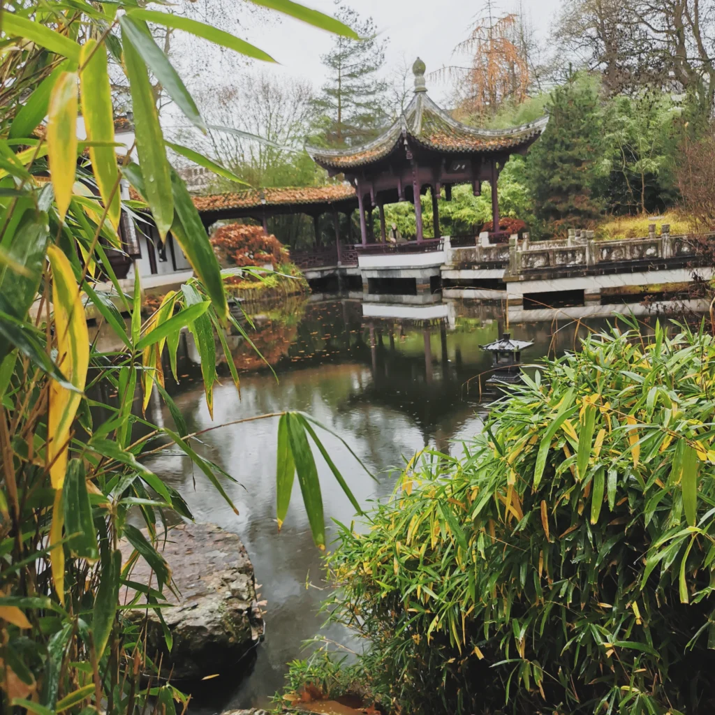 Bildbeschreibung: Ein ruhiger chinesischer Garten mit einem Pavillon am Rand eines kleinen Teiches, umgeben von Bambus und herbstlicher Vegetation, die sich sanft im Wasser spiegelt.
