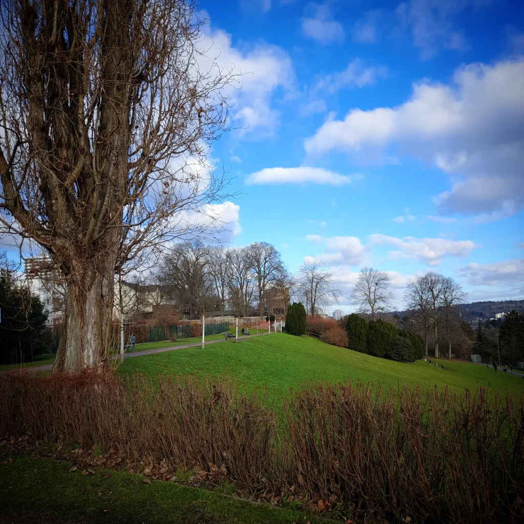 Bildbeschreibung: Eine weitläufige, leicht ansteigende grüne Wiese, gesäumt von kahlen Bäumen und einer Hecke im Vordergrund. Der Himmel ist blau mit weißen, watteähnlichen Wolken. Ein parkähnliches Gelände strahlt winterliche Ruhe aus.


