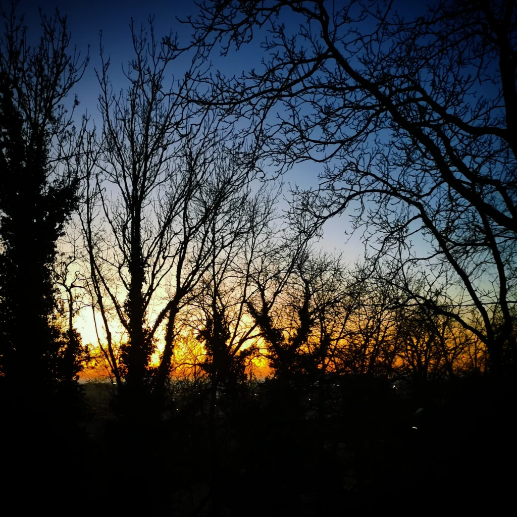 Bildbeschreibung:
Ein Wintermorgen mit kahlen, schwarzen Bäumen, deren Äste sich wie ein feines Netz vor einem goldenen Sonnenaufgang abzeichnen, während der Himmel sich von sanftem Gelb zu klarem Blau färbt.

