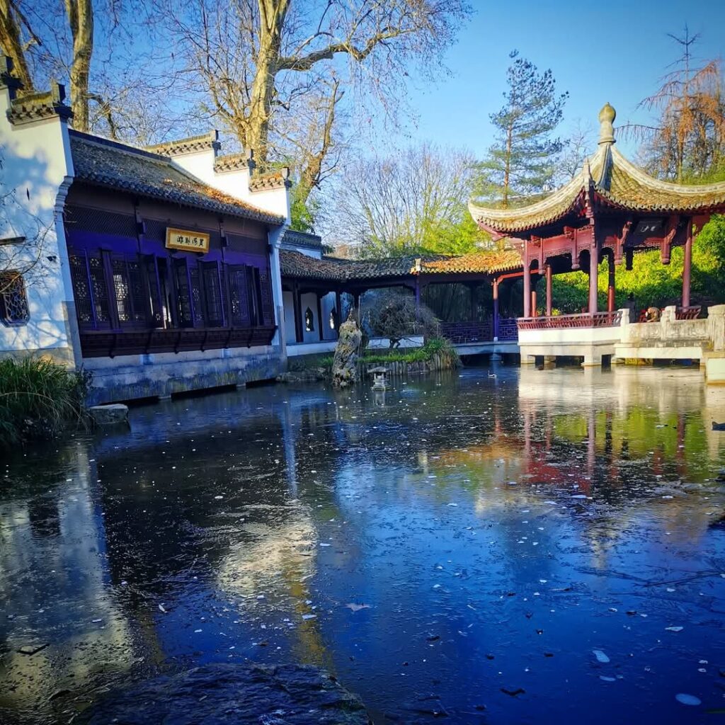 Es war sehr kalt heute morgen im #Bethmannpark. Der kleine Teich noch gefroren.
Aber sehr, sehr viel Winterlicht und ein bisschen auch Wintersonne.

Bildbeschreibung: Chinesischer Pavillon im Bethmannpark im Vordergrund der zugefrorene Teich. 

